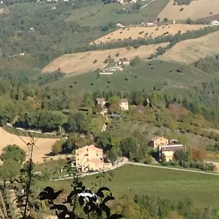 Leila * Penna San Giovanni